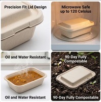 Conteneur alimentaire jetable extra large de 1000 ml en bagasse de canne à sucre, boîte à bento, boîte à lunch, pique-nique, restauration professionnelle, durable