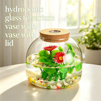 Décoration d'intérieur : Pot de fleurs hydroponique, terrarium, aquarium, vase en verre borosilicate de haute qualité avec couvercle