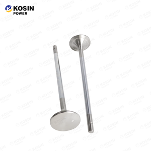 Para motores Cummins: Piezas originales de motor diésel QSV91, bujía de gas natural, bomba de agua, guía de vástago de válvula - Product Image 6