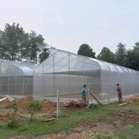 Serre commerciale en gros de cerceau de tunnel de tomate de ferme d'escargot serre de film de reproduction d'escargot pour l'élevage d'escargots
