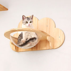 Struttura per arrampicata a parete in legno per attività, - Product Image 5