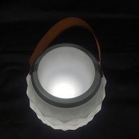 Enceintes sans fil, système audio puissant, caisson de basses, éclairage LED, 16 couleurs changeantes, produits rotomoulés