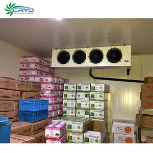 seafood display cooler motor cold room cold storage plant layout outside walk in freezer