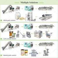 Chaîne entièrement complète Ligne de produits automatique à base de clous de girofle d'ail entraînée Weifang Ligne de produits de machines à éplucher Usine de transformation