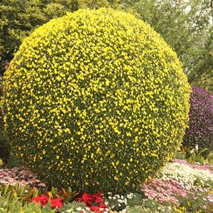 Bolas Decorativas de Alambre para Jardín / Macetas Colgantes en Forma de Bola / Bolas Grandes para Jardín - Product Image 6