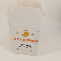 Boîte creuse en PP de 3 mm d'épaisseur, résistante aux chocs, écologique, imperméable, avec logo personnalisé, de qualité alimentaire, pour l'exportation de mangues