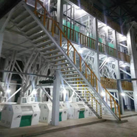 Moulin à maïs à moteur diesel Haiyun 380V, garantie 2 ans, longue durée de vie, usage commercial, 10 tonnes/h