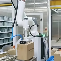 Palettiseur intelligent, rayon de 2000 mm, capacité de charge de 25 kg, solution de palettisation par ventouse à vide