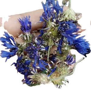 Fiori di <span class=keywords><strong>fiordaliso</strong></span> di bluebottle a bottone intero essiccato blu naturale - Product Image 1