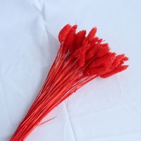 Pierres précieuses naturelles séchées, pièces, plantes colorées, pour la photographie, accessoires de décoration, pour bébé