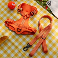 Harnais tactique anti-traction pour chien, réglable, avec poignée, robuste et durable, ensemble laisse et collier pour chien de taille moyenne à grande, avec boucle