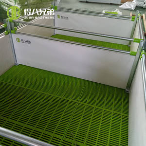 Suelo de plástico para cerdas, listón de suelo de plástico, 400x600 - Product Image 4