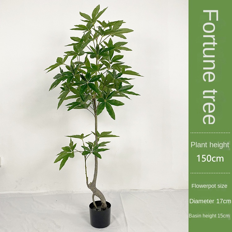 Planta de dinero verde de 150 cm con 234 hojas.