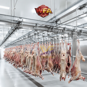Direkter Fabrikpreis Schaf-Schlachthausausrüstung Lammfleisch-Verarbeitungslinie für Ziegen-Schlachthausausrüstung - Product Image 1