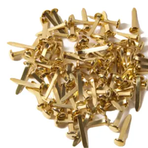 Hot selling gold plated round two foot nails, two foot nails, manual materials