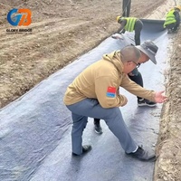 Revestimiento de Arcilla Geosintética Resistente a la Corrosión y a los Químicos para Laguna de Aguas Residuales y Proyecto de Tratamiento de Aguas Residuales