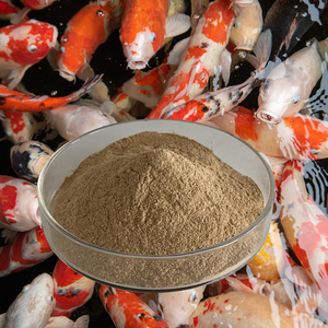 1kg bacillus subtilis bột | nuôi trồng thủy sản <span class=keywords><strong>Probiotic</strong></span> thức ăn phụ gia cho cá & tôm | cải thiện tăng trưởng, FCR & sức khỏe đường ruột - Product Image 2