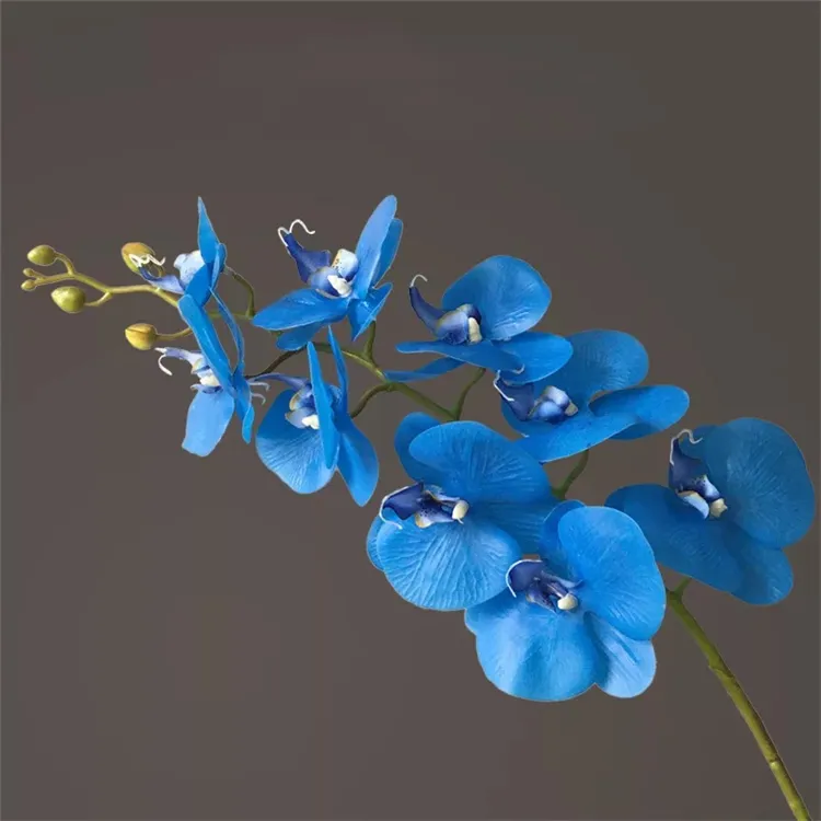 T0499-1 Groothandelaren Wit Geel Blauw Mokara Orchidee In Thailand Zijde Kunstmatige Orchidee Lange Stengels In Bulk Orchideeën Voor Verkoop