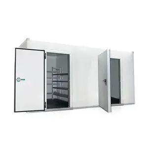 Mini cella frigorifera industriale/cella frigorifera