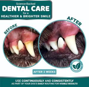 Polvere Dentale Avanzata per Cani, Rinfrescante per l'Alito con Multivitamine, Pulizia dei Denti, Rimozione di Alito Cattivo, Tartaro e Placca, Probiotico - Product Image 3