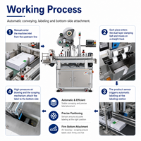 Machine d'étiquetage automatique de manuels d'instructions de haute précision SKILT, moteur PLC pour les produits en papier plié et les prospectus plats