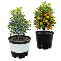 Pot Tanaman Horyard Heavy Duty 25L dari Plastik PP, Warna Hitam, untuk Blueberry dan Bunga, Ramah Lingkungan, Biodegradable, Dapat Digunakan Kembali, dan Dapat Dipasang di Dinding