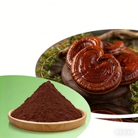 Poudre de Ganoderma Lucidum Lingzhi de qualité supérieure, extrait de champignon Reishi, fourni par l'usine