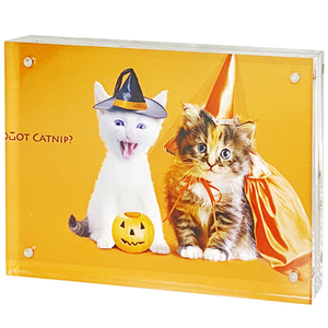 Khung Ảnh Acrylic Trong Suốt 4X6 Từ Tính Dày 8 + 8MM Khung Ảnh Kính Đôi Khung Ảnh Từ Tính - Product Image 3