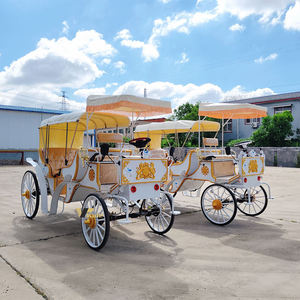 Charrette Électrique Certifiée CE pour le Transport en Parc, Chariot de Luxe à Double Rangée pour Visites Touristiques Européennes à Vendre - Product Image 1