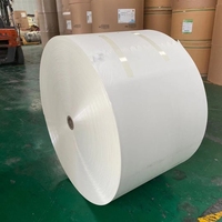 Papier copie A4 en rouleau jumbo, importé, écologique, 80 g/m², blanc, 100 % pâte de bois vierge, pour impression