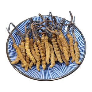 100% bubuk Herbal jamur kering kualitas tinggi alami Tibet Sinensis kordyceps yang dimurnikan liar kualitas makanan organik dalam kaleng - Product Image 6