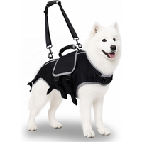 Collier Harnais pour Chien en Nylon Respirant Anti-Évasion Simple, Soutien de Soulagement de la Pression, Tailles M/L/XL, Fermeture Auto-agrippante, Vente en Gros