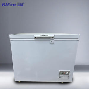 Congélateur commercial, congélateur profond, équipement de réfrigération robuste, porte en mousse haute performance, vitre sans givre, économe en énergie - Product Image 2