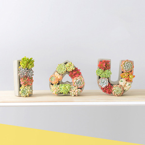 <span class=keywords><strong>Vaso</strong></span> per Piante Succulente in <span class=keywords><strong>Cemento</strong></span> Decorativo da Interno con Scritta 'I Love U' per Dropshipping - Product Image 2