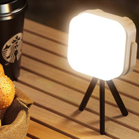 TAIKOO Portable Camping En Plein Air Lumières Vintage Ambient Lights Rechargeable Tente Lampe Éclairage D'urgence