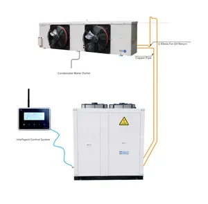 Unità di refrigerazione completa dell'invertitore della stanza di conservazione frigorifera di DOLUYO per la cella frigorifera solare