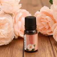 Huiles d'aromathérapie Hankey populaires arômes divers pour chambre salon aromathérapie quotidienne