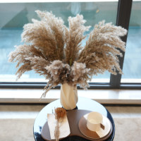 Vente chaude 45 cm Bouquet de fleurs de pampa séchées pour la fête de mariage décoration de la maison Technique sèche naturelle pour Noël Pâques