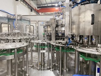 Machine automatique de fabrication de boissons carbonées, 1 pièce, ligne de Production cft, vaporisation d'eau, Soda, plante, pour vente