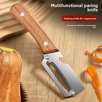 Multifunctionele handmatige schilmes van roestvrij staal voor de keuken, geschikt voor aardappel, fruit, groente, asperges en suikerriet