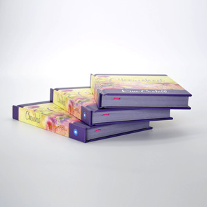 Personnalisé publier <span class=keywords><strong>maison</strong></span> presse relié <span class=keywords><strong>édition</strong></span> série littéraire long roman Impression - Product Image 3