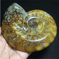 Cendrier en cristal d'ammonite naturel 150-200g, poli, artisanal, objets d'art fossile, cadeaux d'entreprise, décoration de bureau Feng Shui