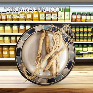 Yüksek kaliteli 5 yaşındaki kurutulmuş % Ginseng kökü ham tarım ürünü sağlık yararına - Product Image 3