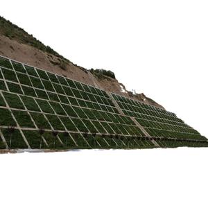 جميع المواسم دائمة الخضرة لأسنان الكلاب بذور جذور العشب لمشاريع تخضير المنحدرات مقاومة للجفاف للحرارة لتربة العشب - Product Image 1