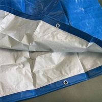Bâches industrielles en tissu de Chine, bâches durables en HDPE PE, bâches imperméables pour le camping