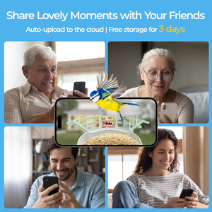 Vogelvoeder met camera, ondersteunt het herkennen van vogelspecies door kunstmatige intelligentie, 1080p realtime-video, waarsch - Product Image 5