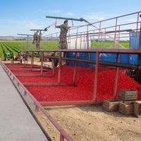 Tomaatensausmachine, tomatenketchup verwerkingslijn, tomatenverwerkingsmachine, te koop.