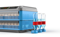 Incubateur à œufs automatique pour reptiles, poussins, mini-incubateur à œufs, incubateur à œufs automatique pour poulets, pas cher, 100 œufs