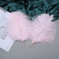 Tissu de Garniture en Plumes d'Autruche de Haute Qualité, Coloré, Lisse, Moelleux, Pas Cher, Blanc, 15-75cm, 30-35cm, Vente en Gros