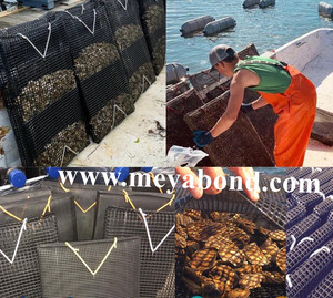 Nhà Máy Oem Nhựa Sò Điệp Spat Collector <span class=keywords><strong>Oyster</strong></span> Lưới Phát Triển Túi - Product Image 6